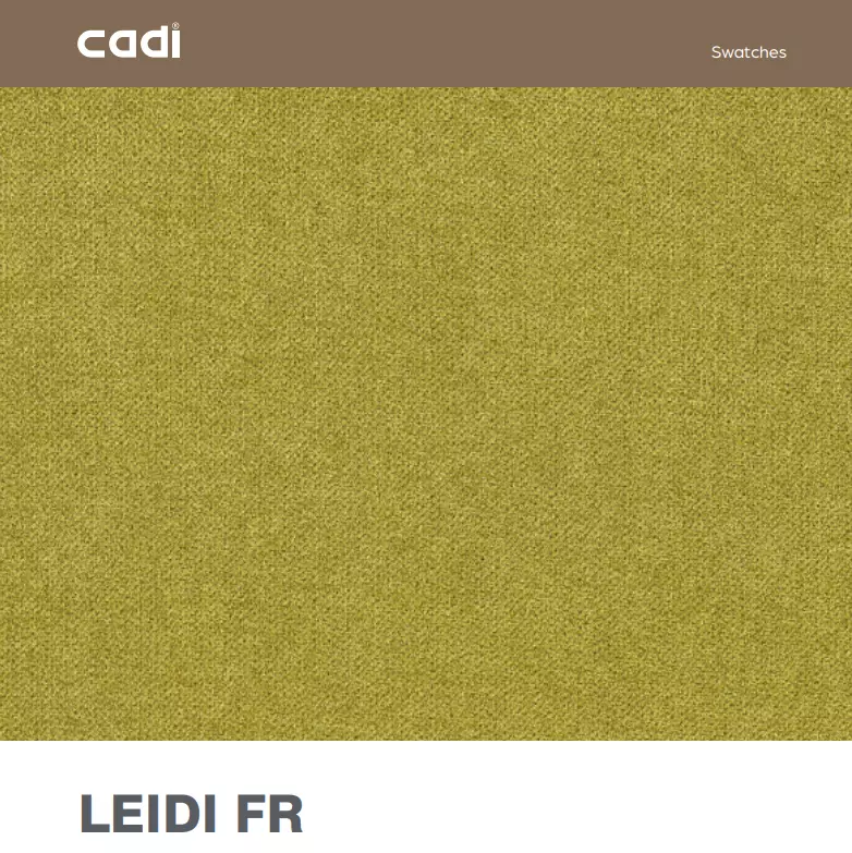 Leıdı